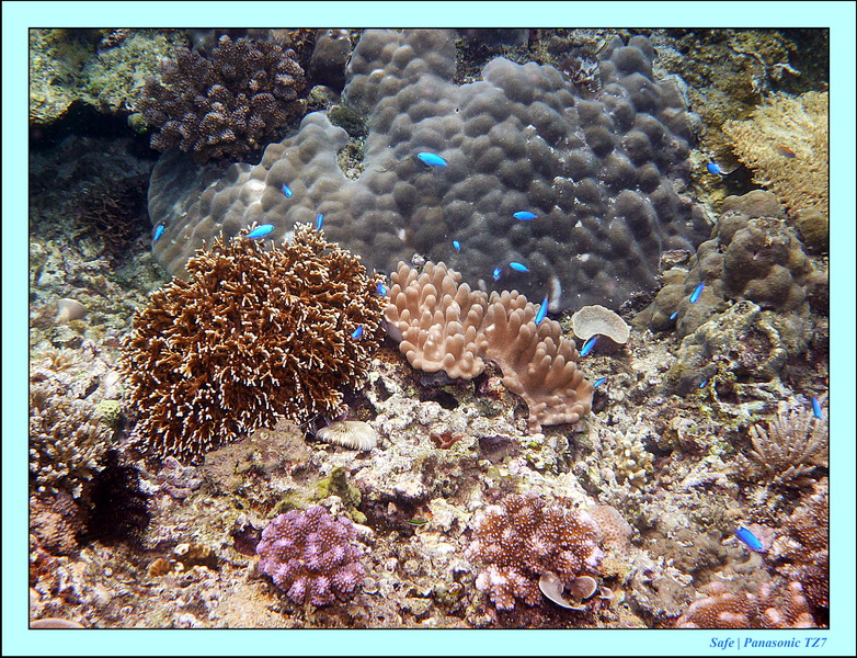 2012 - 07 - Boracay plongee - 11